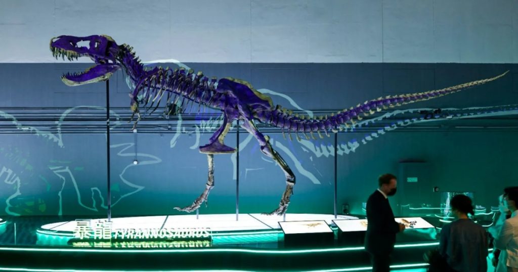 8 bộ xương khủng long quý hiếm lần đầu được trưng bày tại Hồng Kông